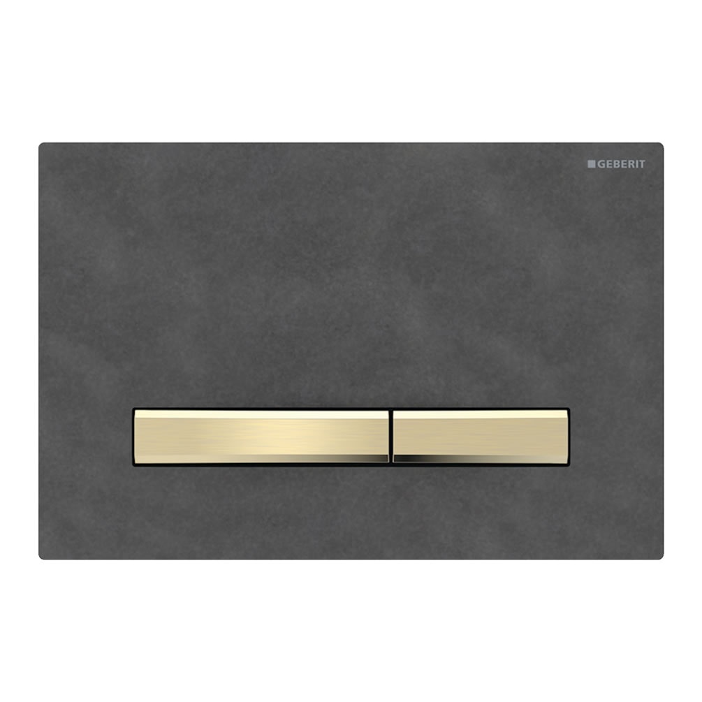 Cutout image of Geberit Sigma50 Square Mustang Slate / Brushed Brass Dual Flush Plate